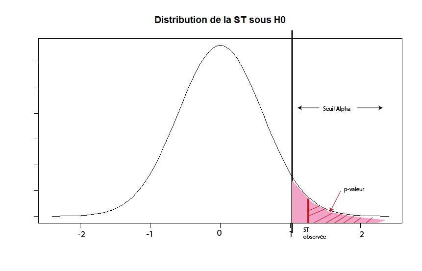 Tests Statistiques suivez l