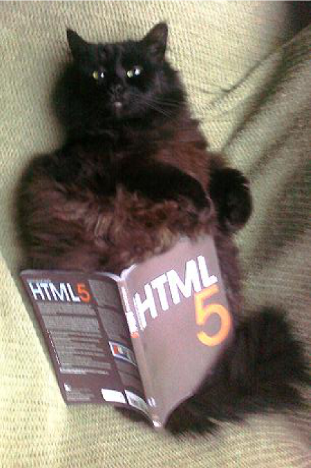Ze amazing HTML cat (CC-BY Tomomi)