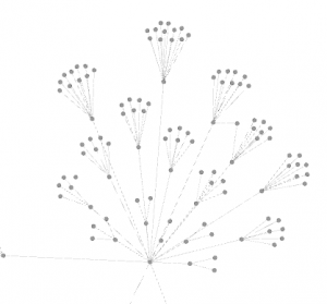Gephi : portion de graphe après l'application du layout Yifan Hu