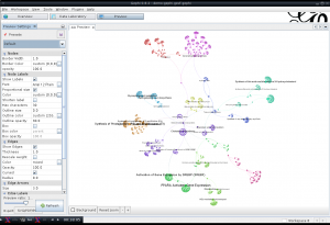 Gephi : preview mode after selecting the nodes with the highest degrees