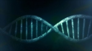 L'ADN renferme le secret de la vie|Public Domain CC0