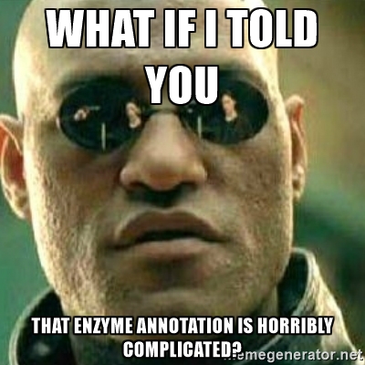 Promiscuité enzymatique, ou comment gérer l'annotation des enzymes
