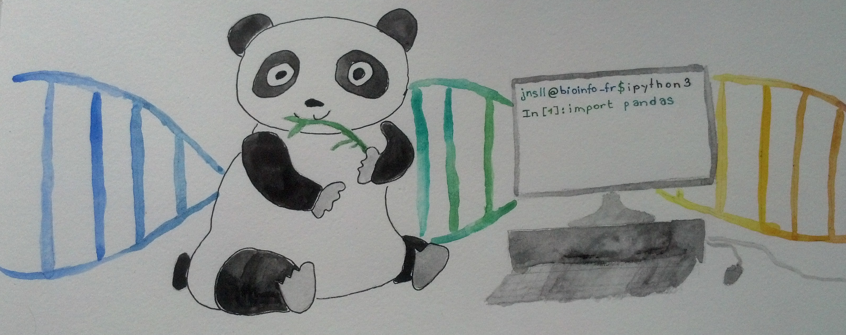 Apprivoiser l'ami ursidé de Python : Pandas