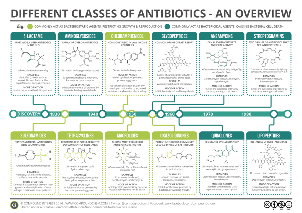 Les principales familles d'antibiotiques