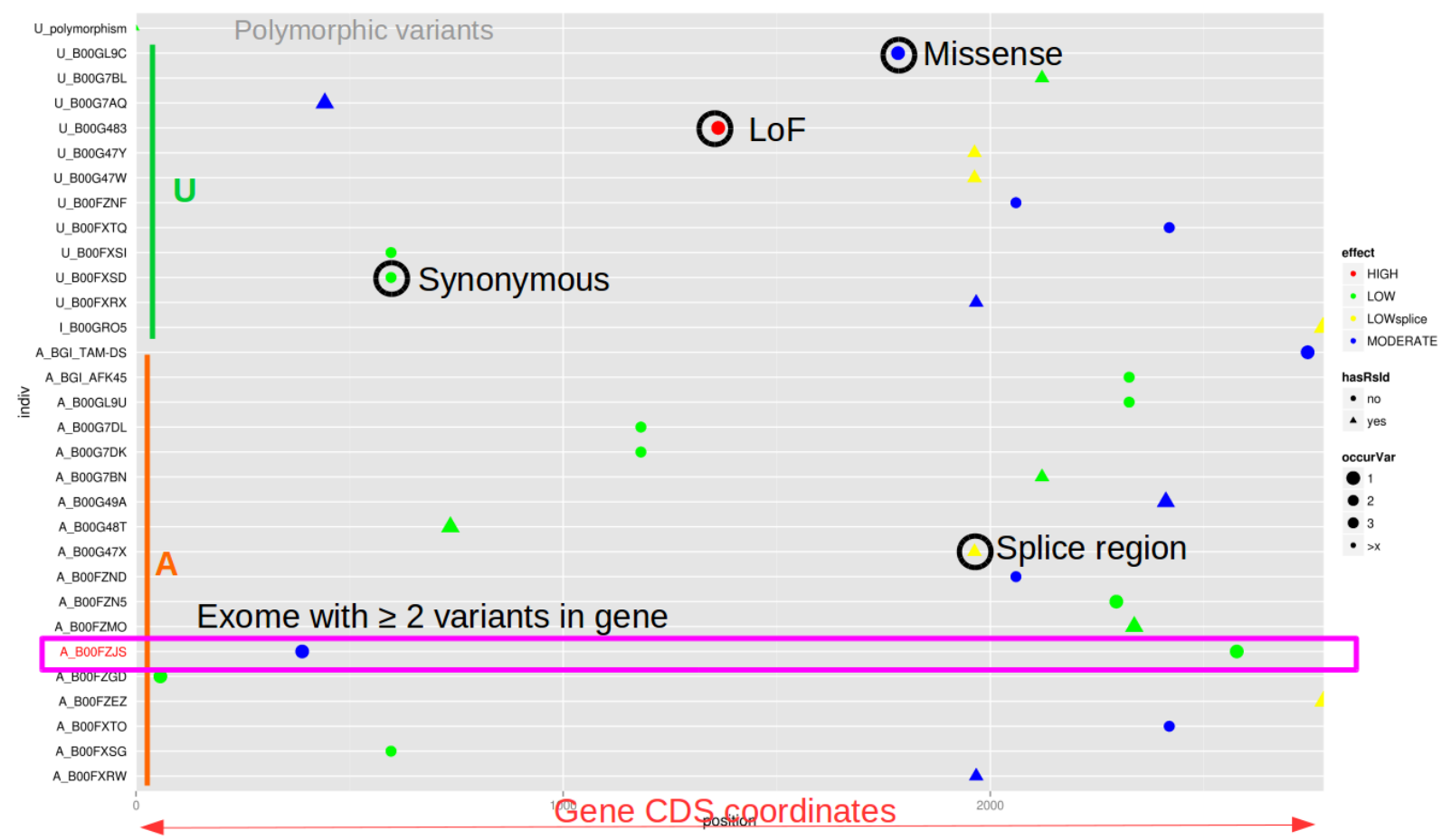ViLoVar : un outil pour la visualisation de variations génétiques