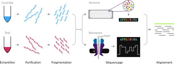 Comment l'étude des intensités d'expression de gène a évolué avec les technologies de transcriptomique ?