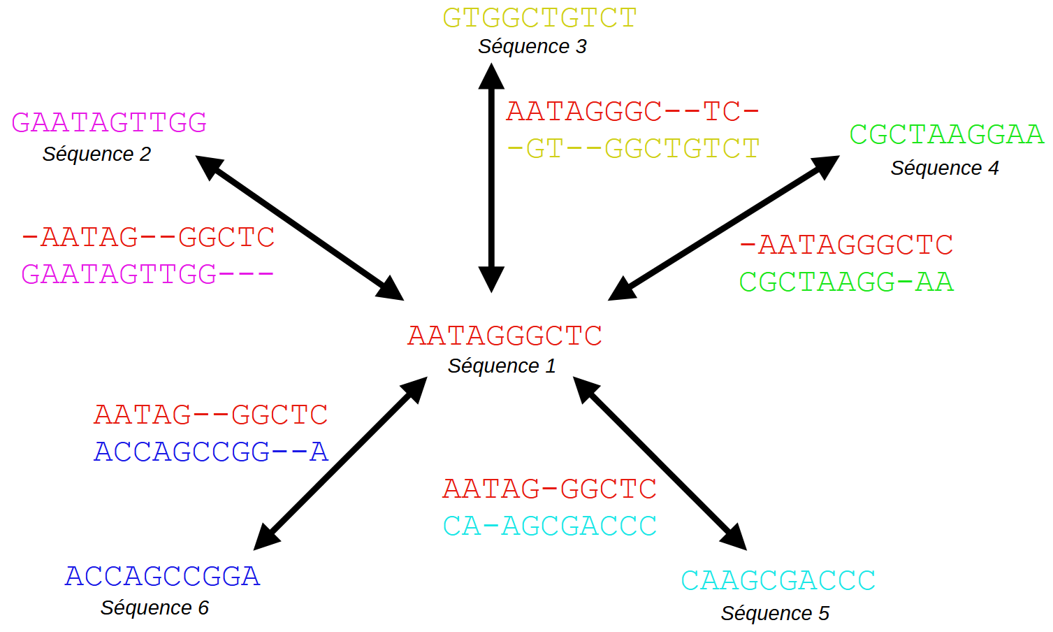 L'alignement multiple en étoile ⭐